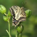 국가! 불가능을 정책으로...4배 손해 악 순환 이미지