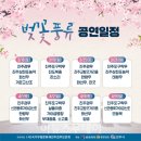 진주시 전통예술회관 공연장 Daum카페