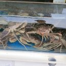 박형수한의원 이미지