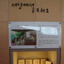 속초시립박물관 | 속초 가볼 만한 곳 속초시립박물관 방문 후기