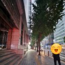 덕수궁돌담약국 이미지