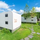 민머루잼머 이미지