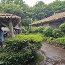 송당승마장 이미지