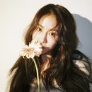 소유 이미지