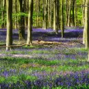 삼성영어한솔수학학원 이미지