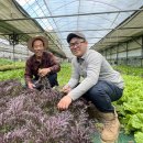 병찬농장 이미지