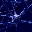 현신경과의원 이미지