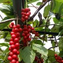 화선농장 이미지