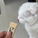 서플리코