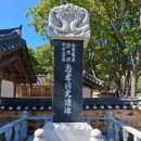 영천 노인학생 2차 충효재.양세대장 묘소 참배 이미지