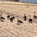 맛있는 여행 이미지