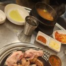 고기파마 이미지