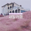 가을여행 ) 제주 새별오름 뷰맛집 새빌카페 - 제주핑크뮬리명소 인생샷