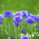 경기유치원 이미지