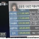 종편과 장윤정 동생의 뻘짓, 10년 내역서 보고 기가차서.. 이미지