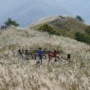 증산-011 이미지