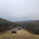 봄여름가을겨울카페 네이버블로그