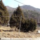 이창범공인중개사사무소 | 양평토지,양평전원주택지,양평농가주택,양평땅,양평군개발계획,양평아파트,양평공인중개사,4대강개발
