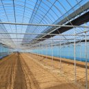 쌈바농장 이미지