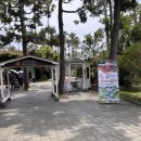 제주 6월 가볼만한곳 한림공원 선인장카페, 트로피칼버스 후기