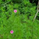 자연생활의집청도 이미지