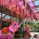 (주)뉴월드마트로연동점 | [베트남/푸쿠옥] 2박4일 자유여행 3일차(뉴월드 리조트, 빈펄사파리, 메오키친)