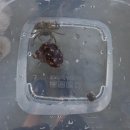 오도리 간이해수욕장 공중화장실 | 오도리해수욕장 해루질 명소에 간 후기