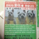 영등포구 대림역 이미지