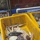 해인식당 | [내돈내산] 구리농수산물시장 “대게가 싫어졌어요.” (feat. 해인수산&amp; 구구회팔팔) 솔직후기