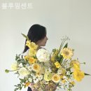 꽃배달 블루밍 | 개업화분 꽃배달 싼곳 블루밍센트 당일배달