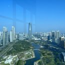 동북아행정사무소 이미지