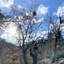Exporation Trail 11-02-2019 이미지