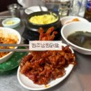 원조남원포구식당 | 신당역 맛집 24시 노포 술집 원조남원닭발 내돈내산 솔직후기