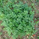 선학초등학교 이미지