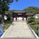 춘천세종관광호텔 | 춘천 세종호텔 야외웨딩 상담후기 및 26년도 견적서 공유