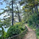 힐링산책코스 이미지