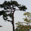 완정농장2 네이버블로그