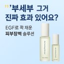 인셀덤 이미지