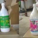 창원북면막걸리 Daum카페