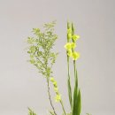 좋고좋다 이미지