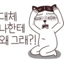 조가네 갑오징어 방배카페거리점 이미지