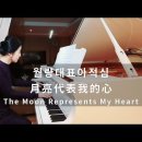 첨밀밀 OST - ROSA Pianist 이미지