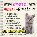 대경약국 이미지