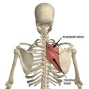 여성전용헬스장A 강서구청점 이미지