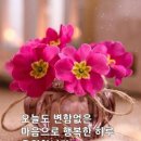 청단 이미지