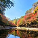 강천산 계곡의 화려한 단풍 이미지