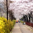 호구포로 이미지