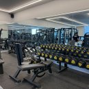베스트 피지컬 짐( Best Physical Gym) | 연천 PT샵 베스트피지컬짐:기구 구성부터 납품까지(100평)