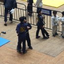 라텔주짓수고척