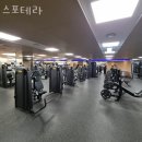 스포테라 | 강남 대치동 헬스장 스포테라 업체 정보 후기